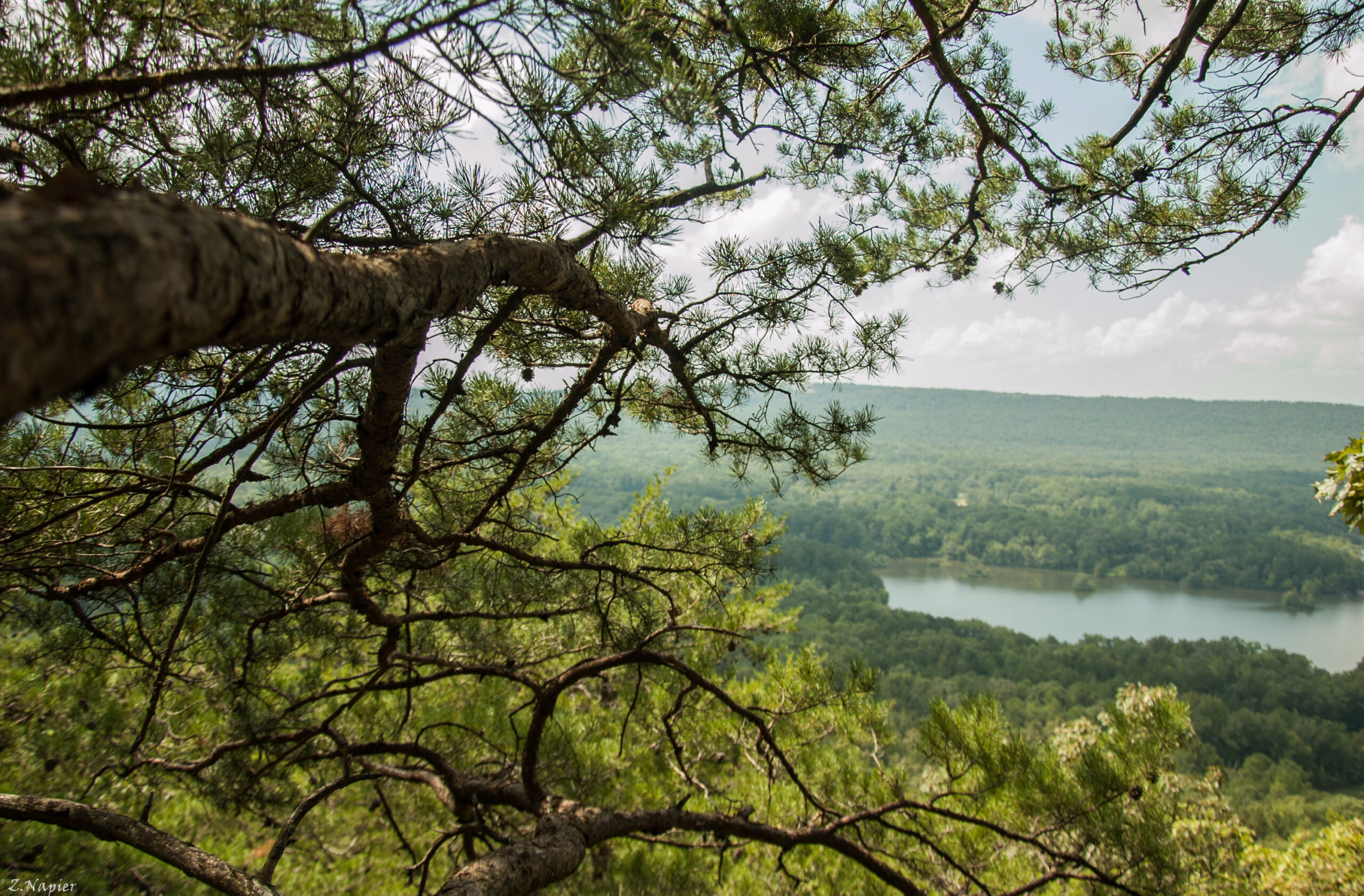 Double Oak Mountain Acquisition Freshwater Land Trust