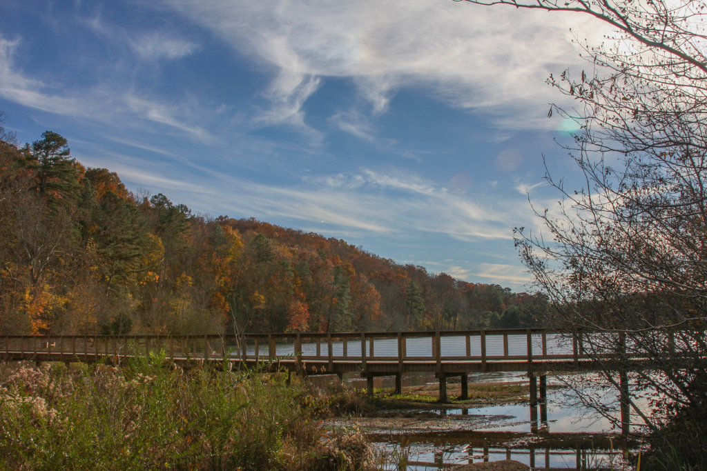 20 Projects Cosby Lake Freshwater Land Trust