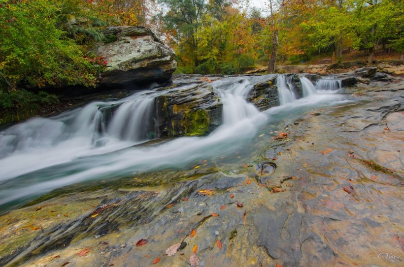 Turkey Creek Nature Preserve