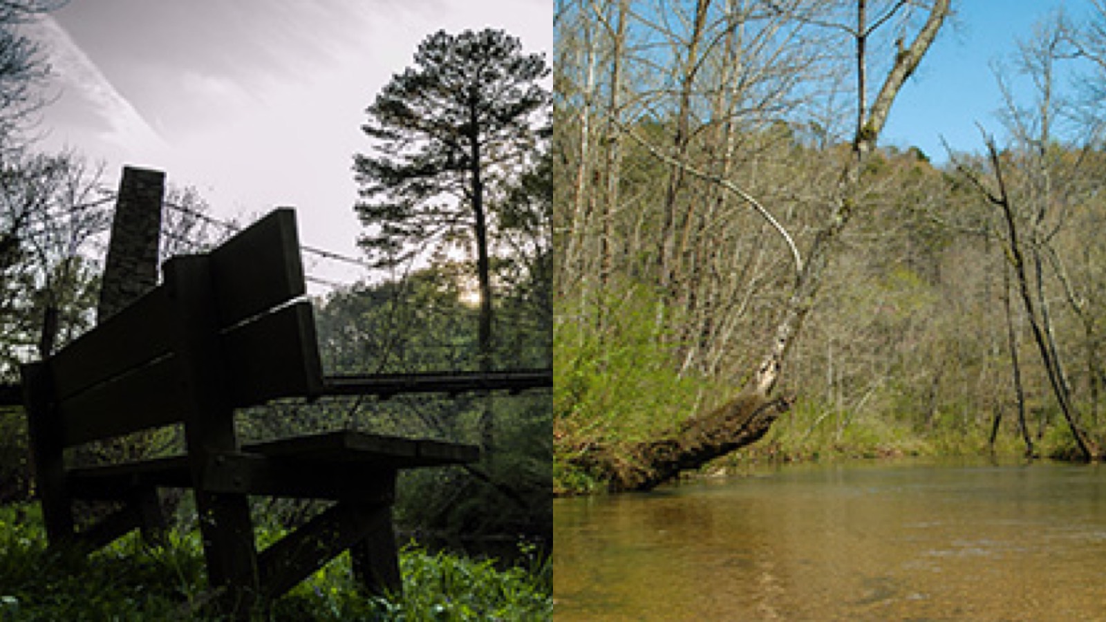 Turkey Creek Nature Preserve Freshwater Land Trust