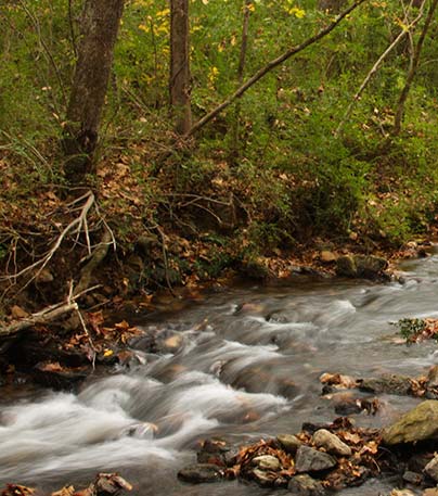 How Turkey Creek Nature Preserve became one of Alabama's favorite outdoor  spots again 