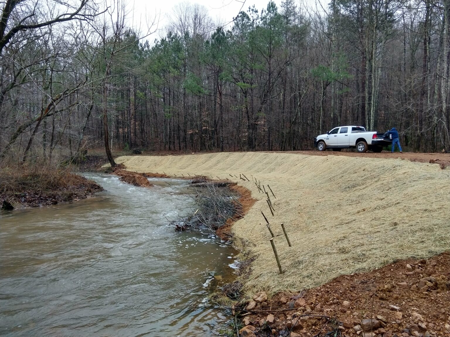 FLT and Partners Stabilize Turkey Creek Bank for Endangered Darters