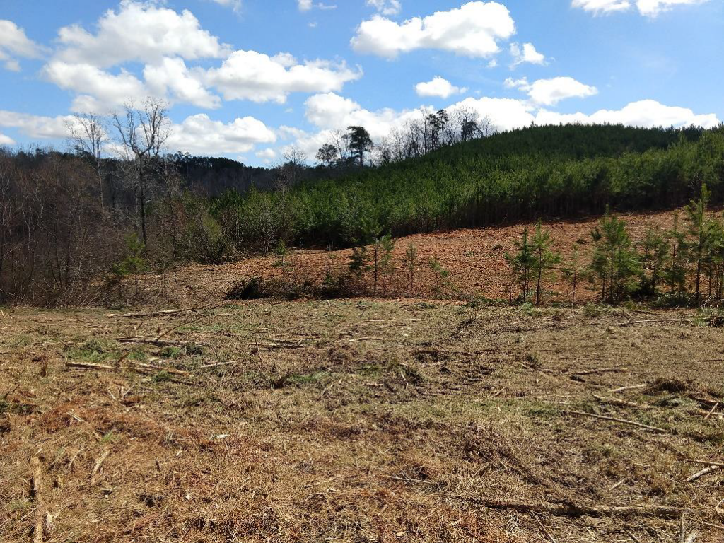 250+ acres conserved in Locust Fork watershed Freshwater Land Trust