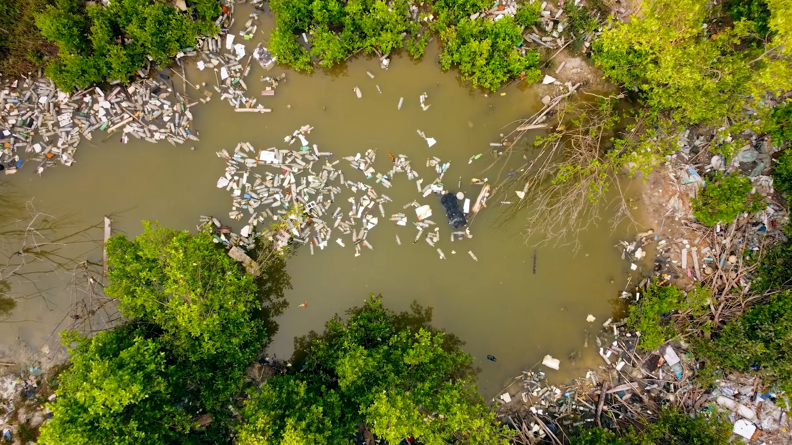 Turkey Creek - Encyclopedia of Alabama